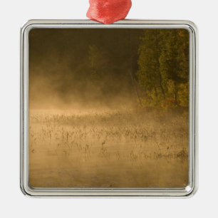Ornement En Métal États-Unis, New York, Adirondack Park. Brume du le