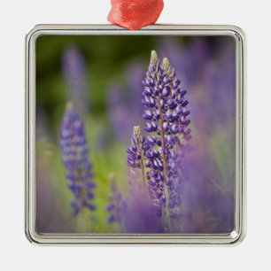 Ornement En Métal États-Unis, nord-est du Minnesota, près de Silve