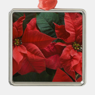 Ornement En Métal États-Unis, WA, détail de poinsettia rouge (Euphor