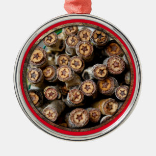 Ornement En Métal Etoiles le long du Rio Grande Cotton Wood Trees