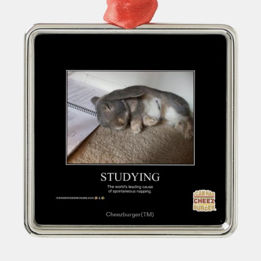 Ornement En Métal Étude (Devant)