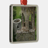 Ornement En Métal Europe, Irlande, Château de Blarney. CETTE IMAGE (Droite)