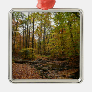 Ornement En Métal Fall Creek à Laurel Hill State Park Pennsylvania