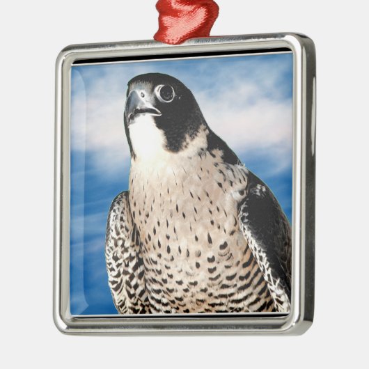 Ornement En Métal Faucon pérégrin (Gauche)