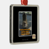 Ornement En Métal Firefox rejette (Droite)