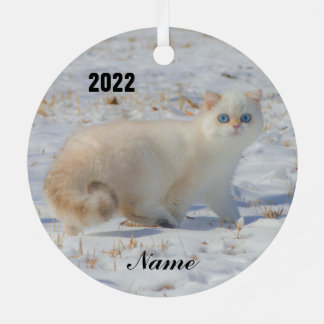 Ornement En Métal Flamme Point Chat avec yeux bleus dans la neige