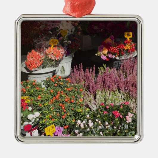 Ornement En Métal fleurs montrées en vente dans le de Campo (Devant)