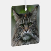 Ornement En Métal Fluffy Maine Coon Cat (Avant droite)