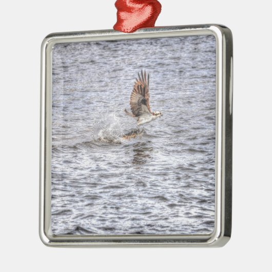 Ornement En Métal Flying Osprey & Fish HDR Wildlife Photo Don (Gauche)