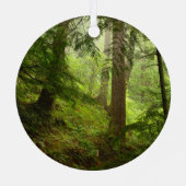 Ornement En Métal Forêt tropicale dans le Parc National Olympique Ph (Verso)