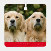 Ornement En Métal Funny Bark Humbug Chien Photo Noël Personnalisé (Verso)