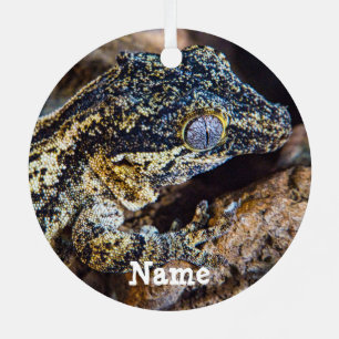 Ornement En Métal Gargoyle personnalisé Gecko Pet Lizard