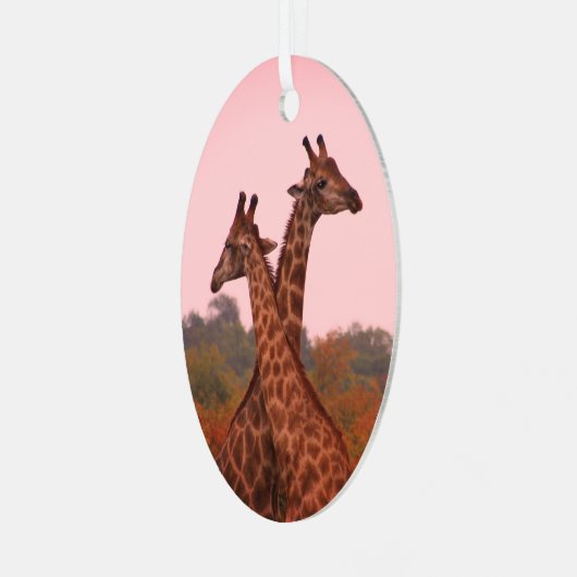 Ornement En Métal Girafe debout dans les mopani avec ciel rose (Avant gauche)