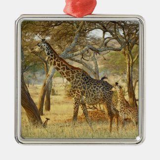 Ornement En Métal Girafe femelle adulte et juvénile, Giraffa