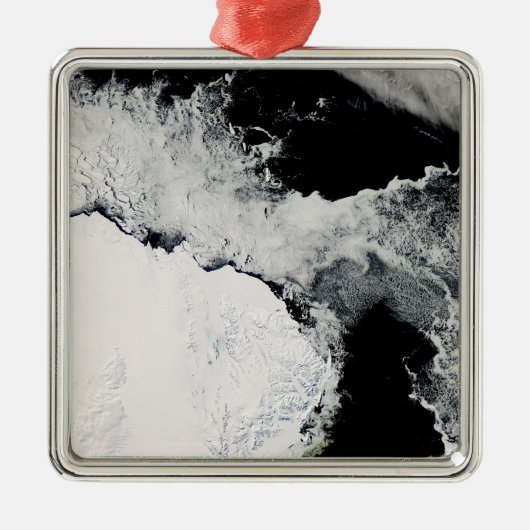 Ornement En Métal Glace marine dans l'océan Austral (Devant)