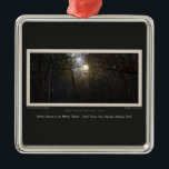 Ornement En Métal Golden Sunrise Winter Forest<br><div class="desc">You are viewing The Lee Hiller Designs Collection of Home and Office Decor,  Apparel,  Toxiques and Collectibles. The Designs include Lee Hiller Photographie et Mixed Media Digital Art Collection. You can view her her Nature photographiy at at http://HikeOurPlanet.com/ and follow her hiking blog within Hot Springs National Park.</div>
