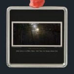 Ornement En Métal Golden Sunrise Winter Forest<br><div class="desc">You are viewing The Lee Hiller Designs Collection of Home and Office Decor,  Apparel,  Toxiques and Collectibles. The Designs include Lee Hiller Photographie et Mixed Media Digital Art Collection. You can view her her Nature photographiy at at http://HikeOurPlanet.com/ and follow her hiking blog within Hot Springs National Park.</div>