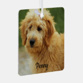 Ornement En Métal Goldendoodle Chien chiot (Avant droite)