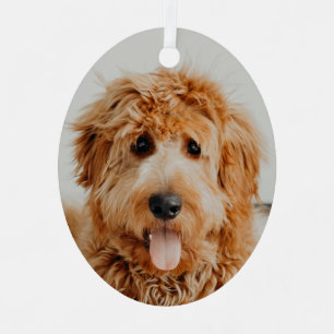 Ornement En Métal Goldendoodle Chien chiot