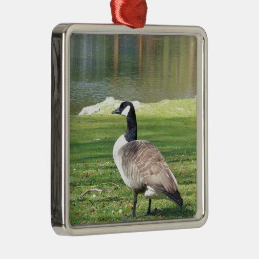 Ornement En Métal Goose at the waterfront, Wildlife Animals, Nature (Droite)