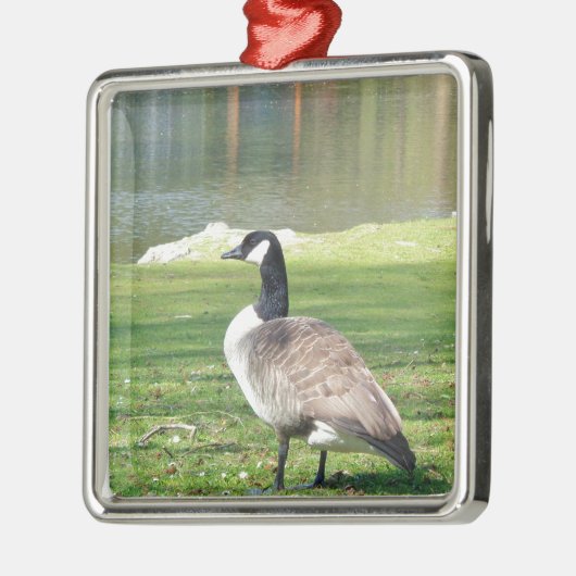 Ornement En Métal Goose at the waterfront, Wildlife Animals, Nature (Gauche)