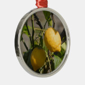Ornement En Métal Graphiques de citron espagnol (Droite)