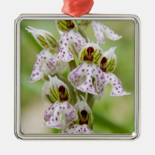 Ornement En Métal Grèce, Crète. Orchidée en fleurs Orchis