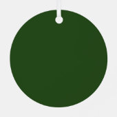 Ornement En Métal Green White Natal Holiday Energy Custom Photo (Verso)