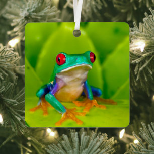 Ornement En Métal Grenouille aux yeux rouges, Costa Rica