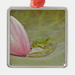 Ornement En Métal Grenouille et pétale de fleur de lotus, Chine,