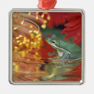 Ornement En Métal Grenouille et reflets parmi les fleurs. Crédit :