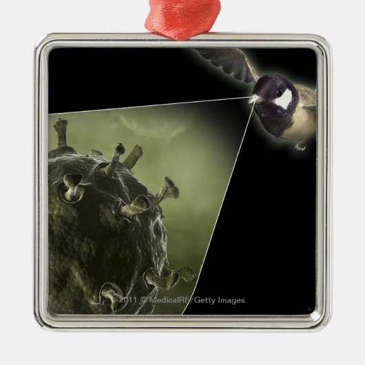 Ornement En Métal Grippe aviaire sortant de l'oiseau (Devant)