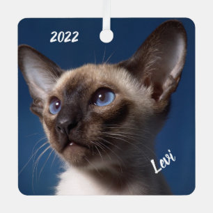 Ornement En Métal Gros plan d'un chat siamois aux yeux bleus