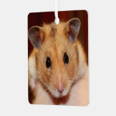 Ornement En Métal Hamster Syrien Pour Animaux - Hamster Standard - O (Avant gauche)