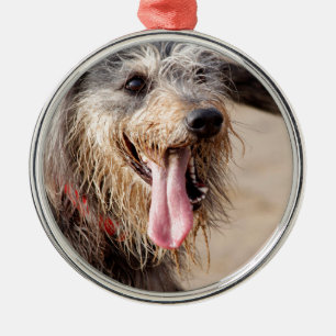 Ornement En Métal Heureux chien sur une plage