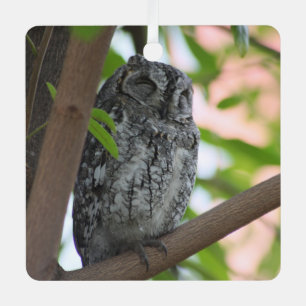 Ornement En Métal Hibou africain dormant dans un arbre