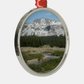 Ornement En Métal High Country Mountain Stream I (Droite)