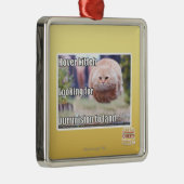 Ornement En Métal Hover Kitteh (Droite)