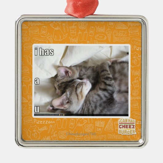 Ornement En Métal I a un u (Devant)