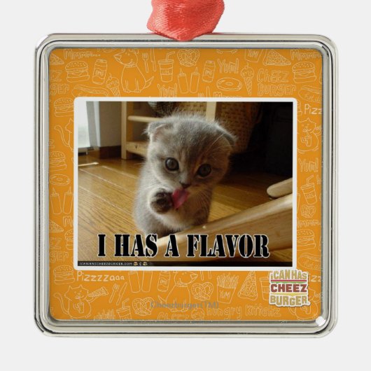 Ornement En Métal I a une saveur (Devant)