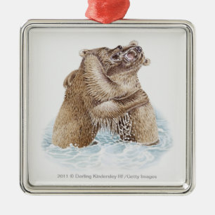 Ornement En Métal Illustration de deux ours Brown combattant dans
