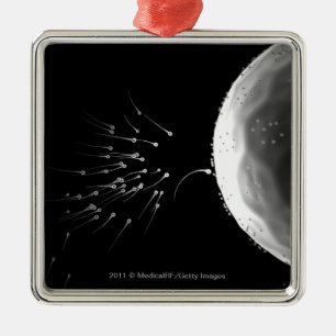 Ornement En Métal Illustration noire et blanche de la fertilisation