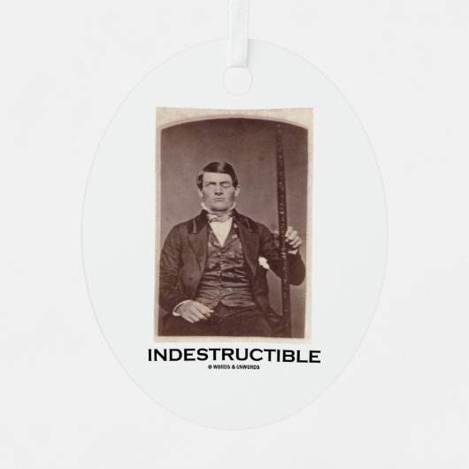 Ornement En Métal Indestructible Phineas Gage Cerebral Localization (Recto)