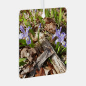 Ornement En Métal Irises miniatures sauvages (Avant droite)