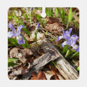 Ornement En Métal Irises miniatures sauvages (Verso)