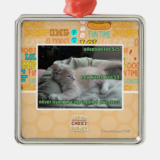 Ornement En Métal Jamais ne vivant encore dans une cage (Devant)