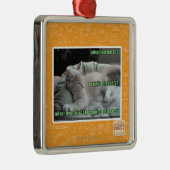 Ornement En Métal Jamais ne vivant encore dans une cage (Droite)