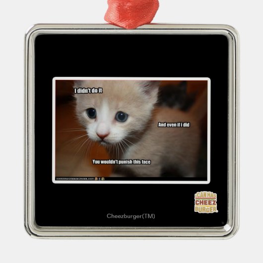 Ornement En Métal Je ne l'ai pas fait (Devant)