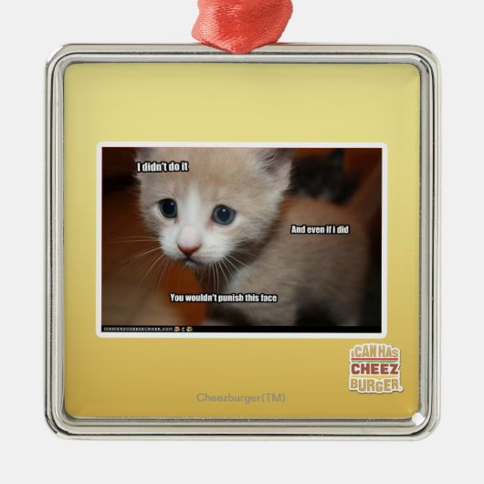 Ornement En Métal Je ne l'ai pas fait (Devant)