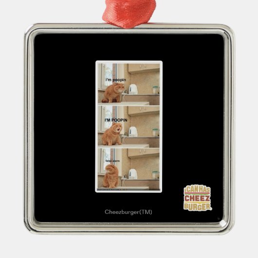 Ornement En Métal Je suis du foutu ! (Devant)